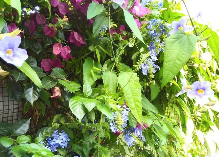 Vista Mare Mela Lägenhet